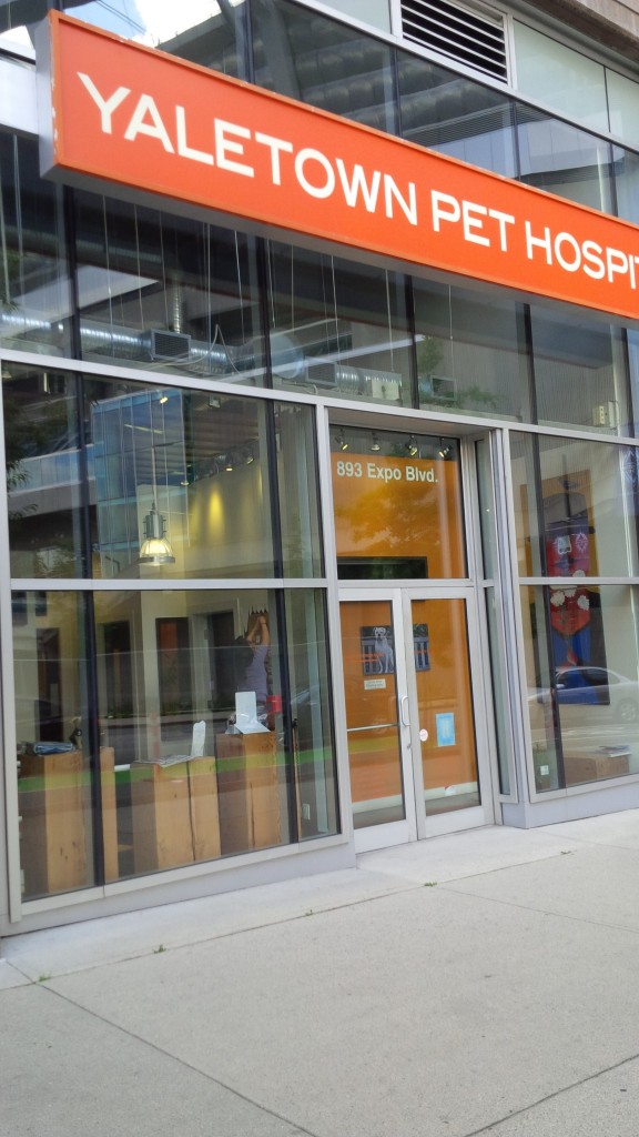 Commercial store front aluminum entry doors installation.