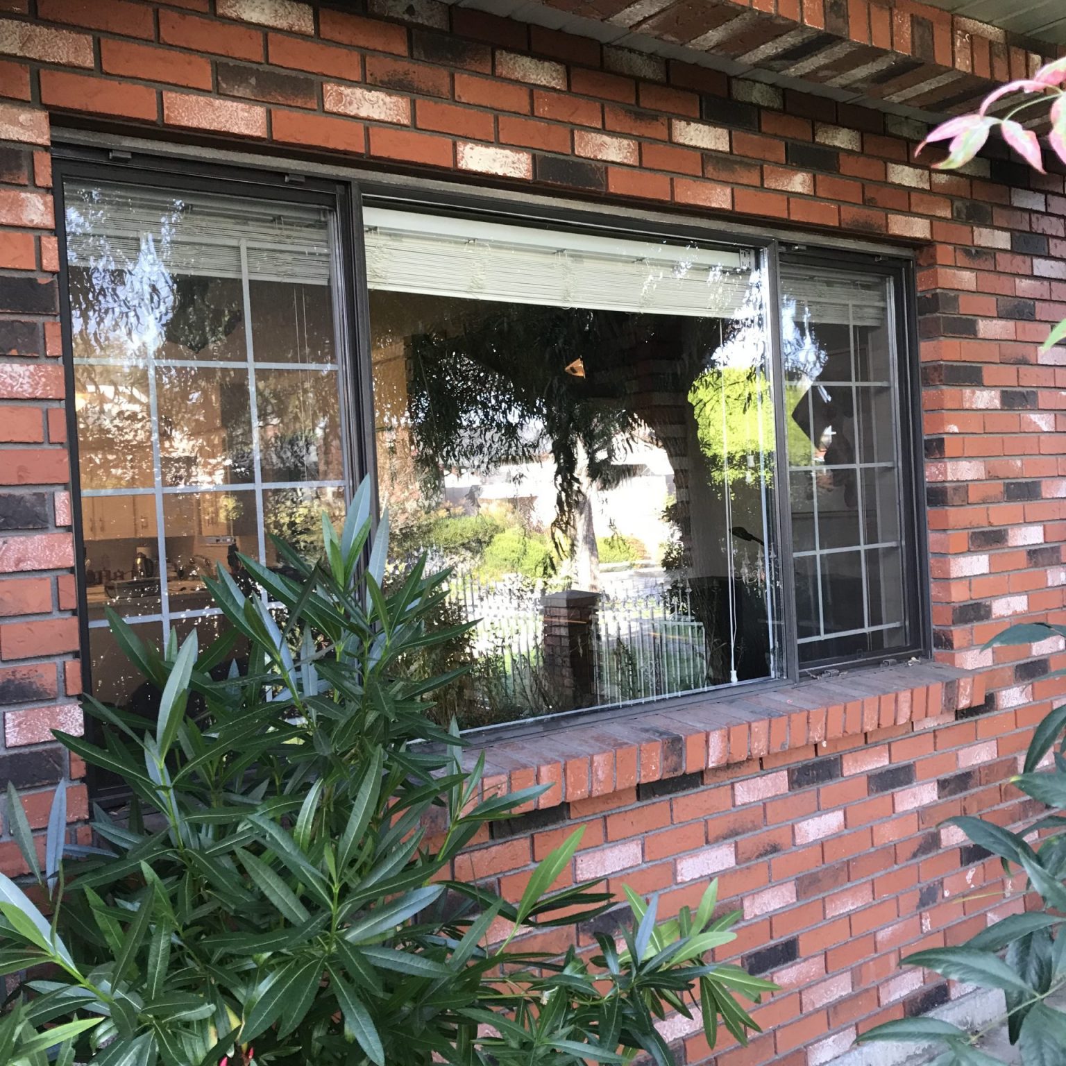 Single home double glazed window replacement